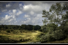 AWD-landschap-met-twee-zwanen-24